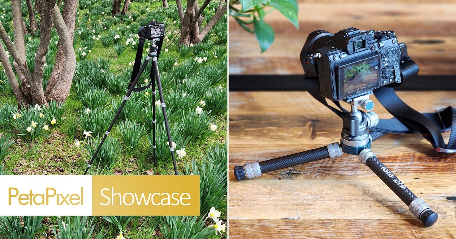 The ProMaster iota Is an Ultralight Tripod You’ll Really Want to Use