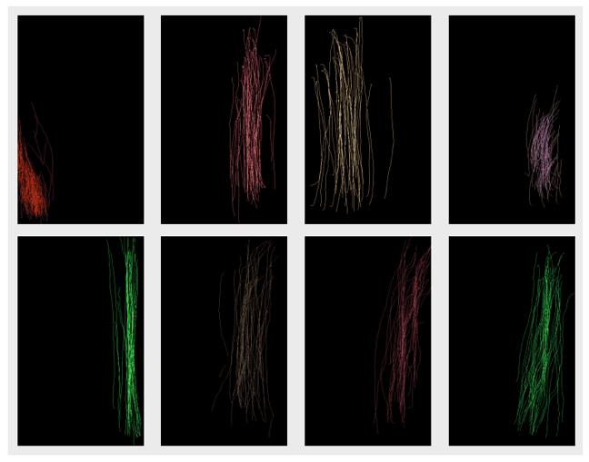 Behavior is the New Credential